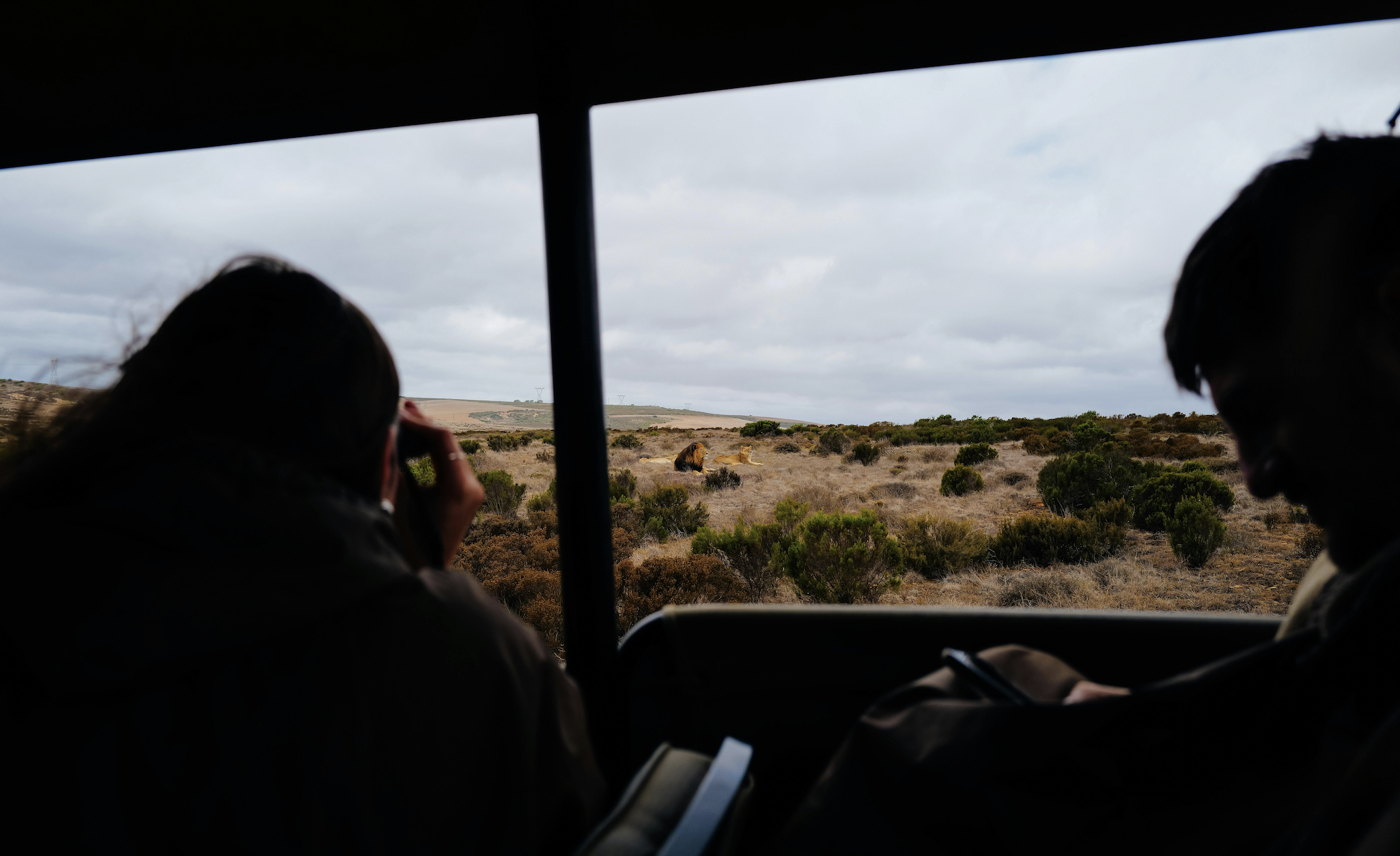 Capture the Big 5: Wildlife Photography Tips for Your Kruger Safari